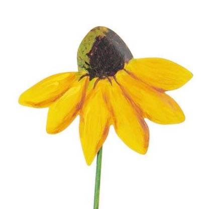 Yellow Wildflower