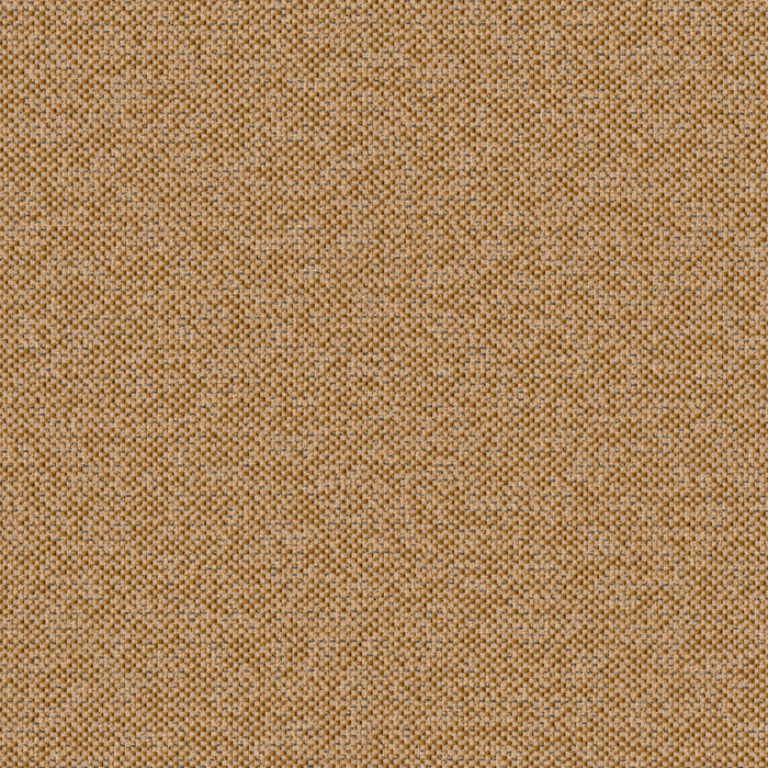 Texture Map - Holocene - 2004 - 06 - Half Yard