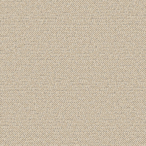 Texture Map - Windblown Silt - 2004 - 05 - Half Yard