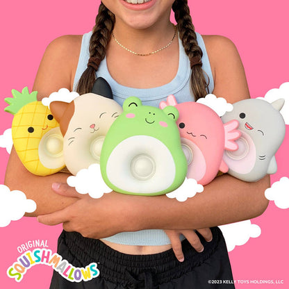 Top Trenz 5 Inch Squishmallow Cloud Pop Fidget Toy - Owl & Goose Gifts