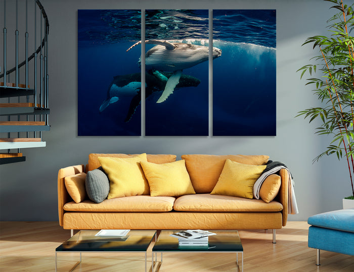 Whale Humpback Canvas Print #8126