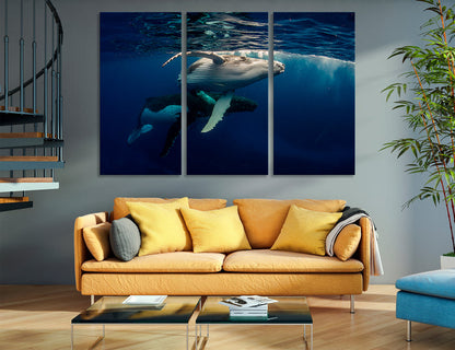 Whale Humpback Canvas Print #8126