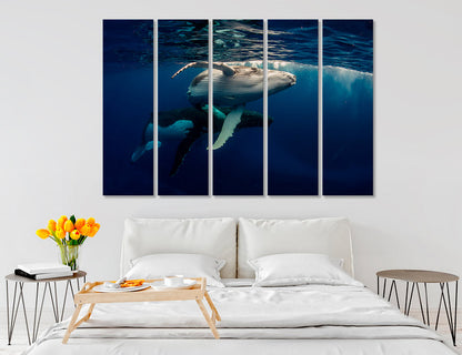 Whale Humpback Canvas Print #8126
