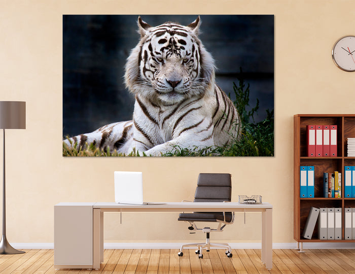 White Tiger Canvas Print #8119