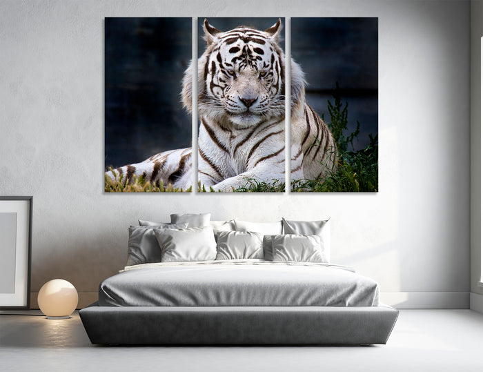 White Tiger Canvas Print #8119