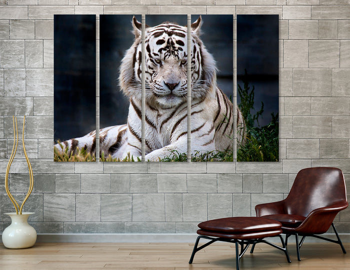 White Tiger Canvas Print #8119