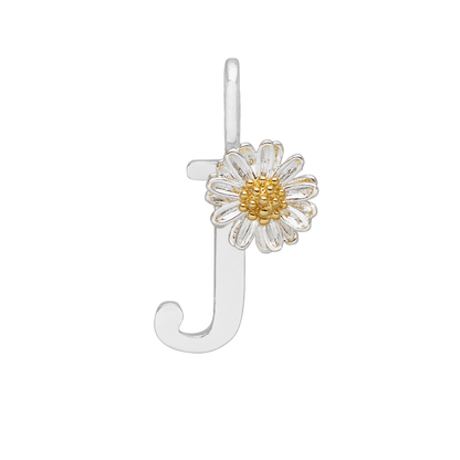 customiser-image